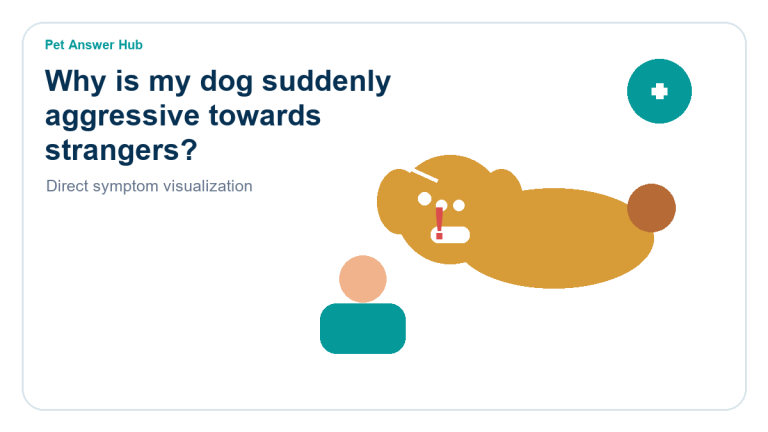 why is my dog suddenly aggressive towards strangers dog behavior visual
