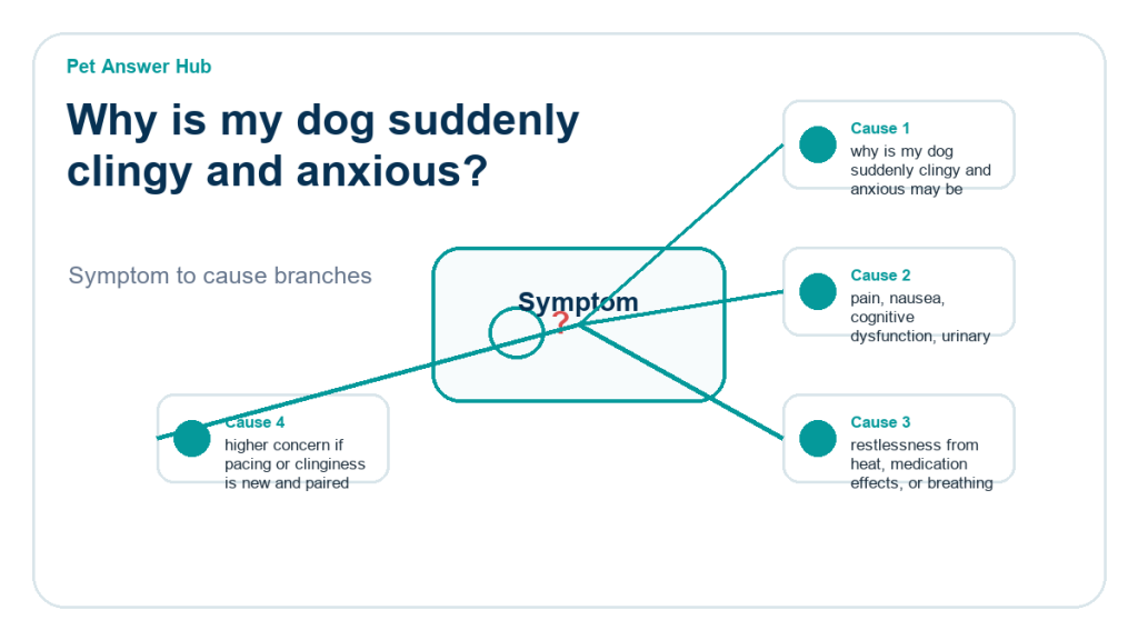 why is my dog suddenly clingy and anxious diagnostic cause diagram