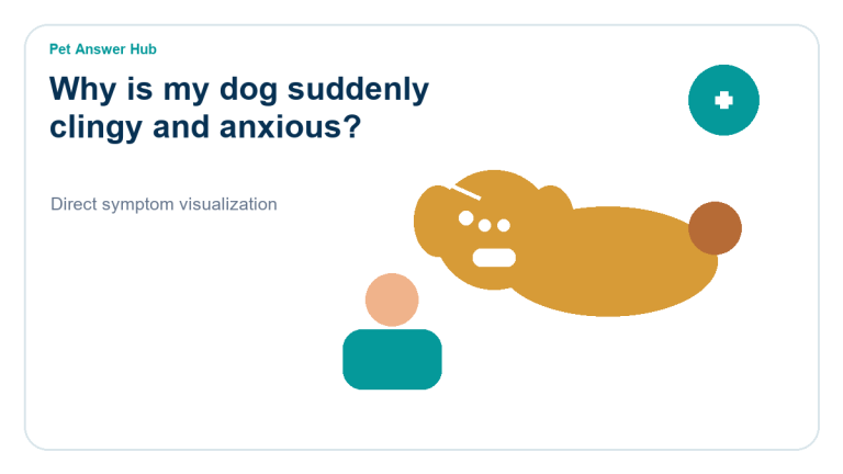 why is my dog suddenly clingy and anxious dog symptom state visual