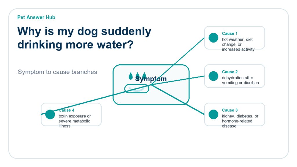 why is my dog suddenly drinking more water diagnostic cause diagram