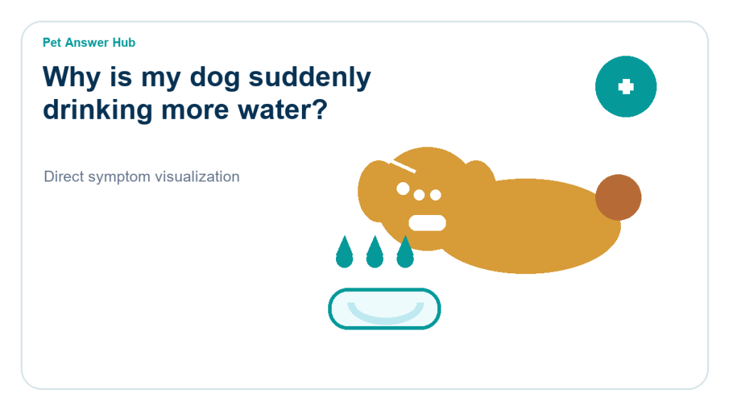 why is my dog suddenly drinking more water symptom state visual