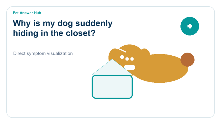 why is my dog suddenly hiding in the closet dog behavior visual