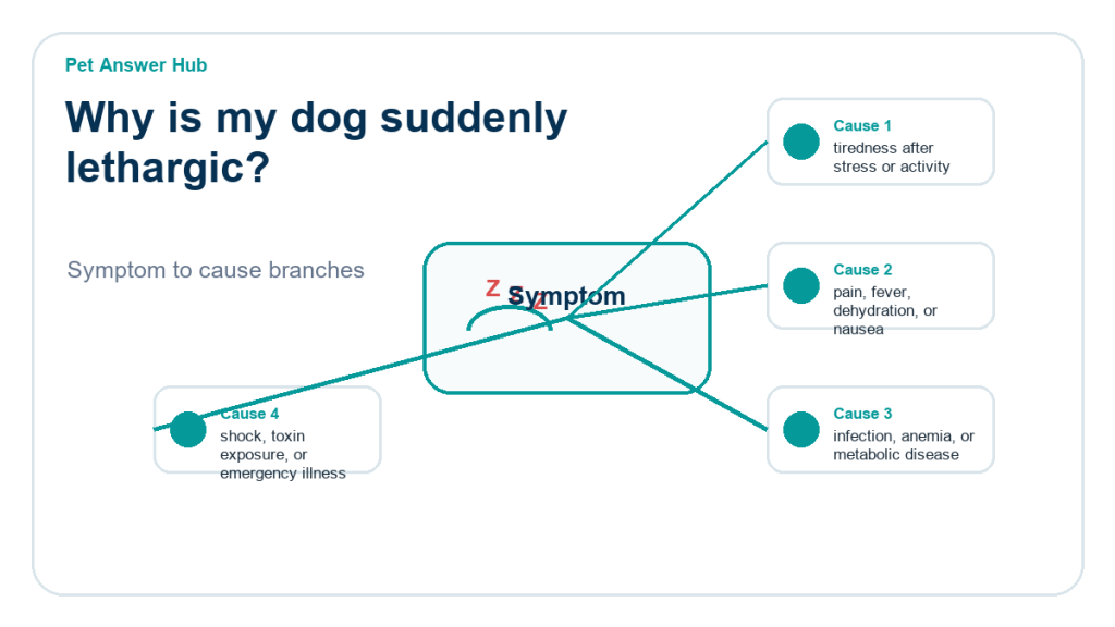 why is my dog suddenly lethargic diagnostic cause diagram