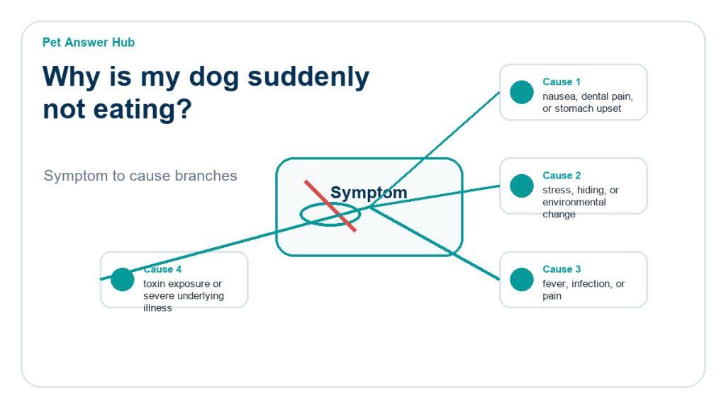 why is my dog suddenly not eating diagnostic cause diagram