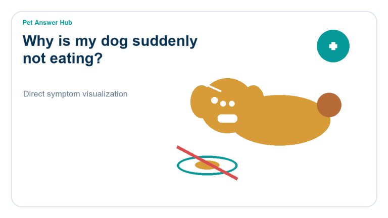 why is my dog suddenly not eating symptom state visual