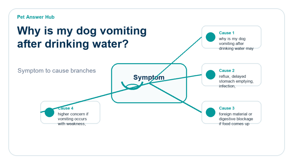 why is my dog vomiting after drinking water diagnostic cause diagram