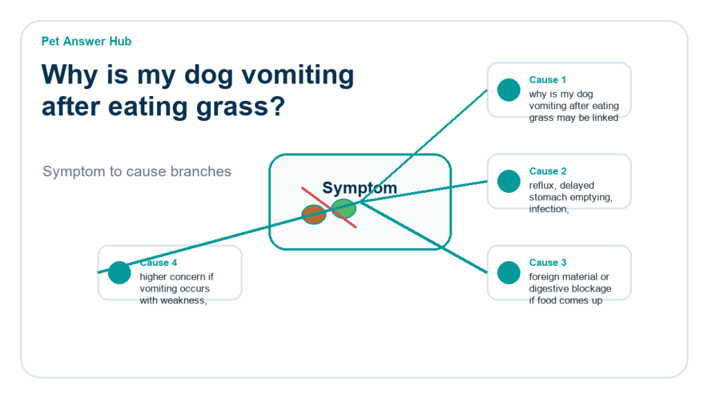 why is my dog vomiting after eating grass diagnostic cause diagram