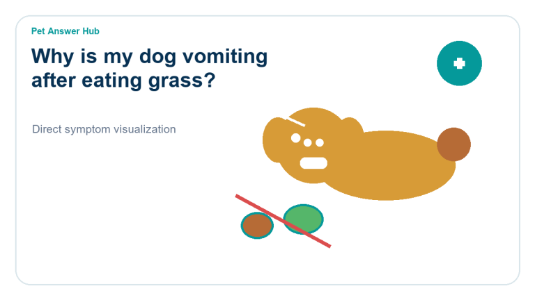 why is my dog vomiting after eating grass dog symptom state visual