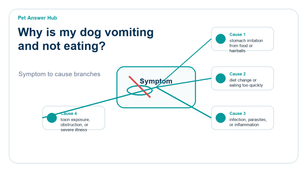 why is my dog vomiting and not eating diagnostic cause diagram
