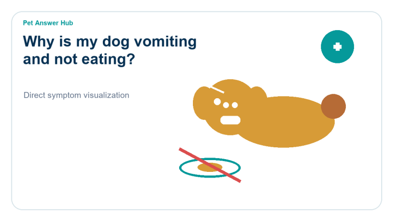 why is my dog vomiting and not eating symptom state visual