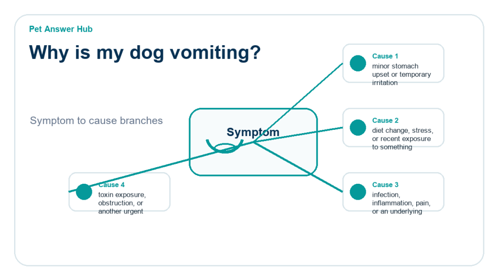 why is my dog vomiting cause diagram
