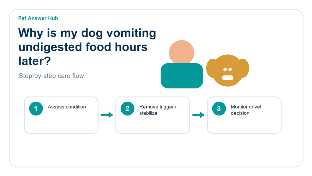 why is my dog vomiting undigested food hours later dog care action flow