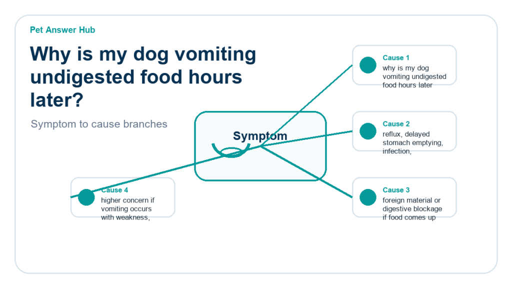 why is my dog vomiting undigested food hours later diagnostic cause diagram
