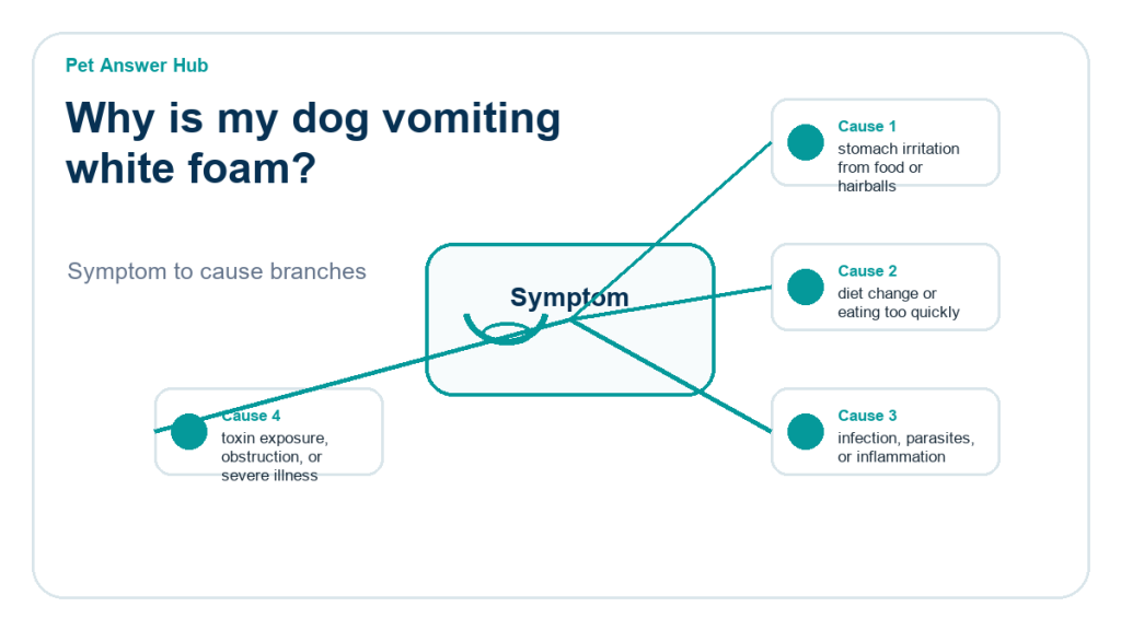 why is my dog vomiting white foam diagnostic cause diagram