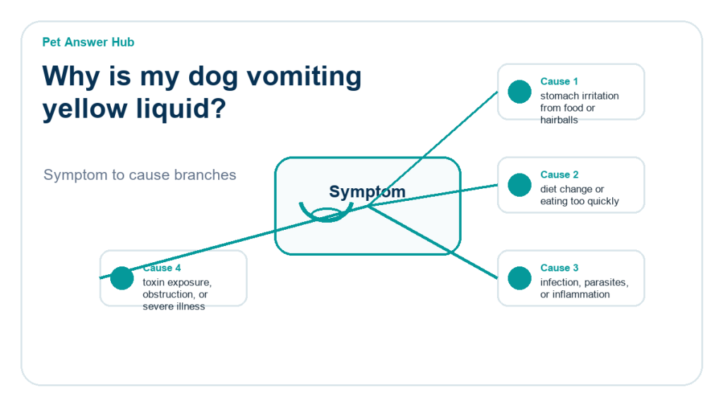 why is my dog vomiting yellow liquid diagnostic cause diagram