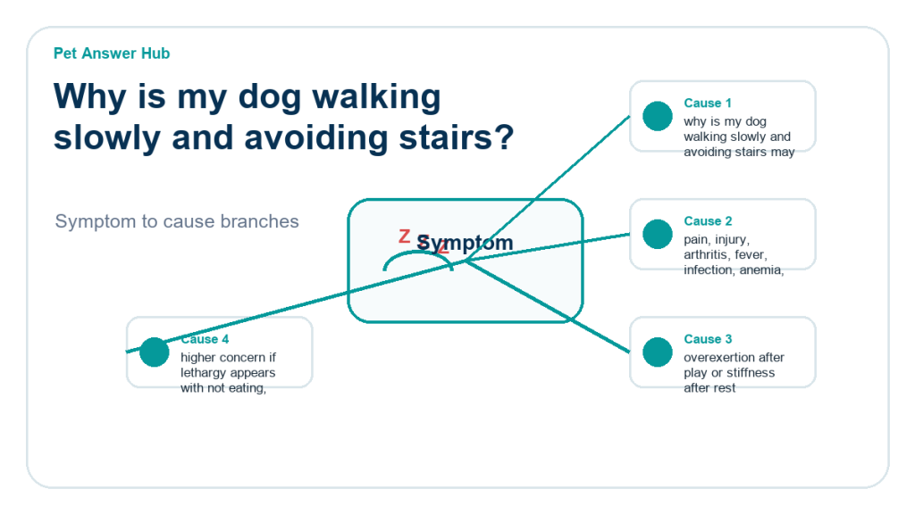 why is my dog walking slowly and avoiding stairs diagnostic cause diagram