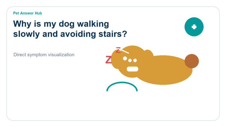 why is my dog walking slowly and avoiding stairs dog symptom state visual