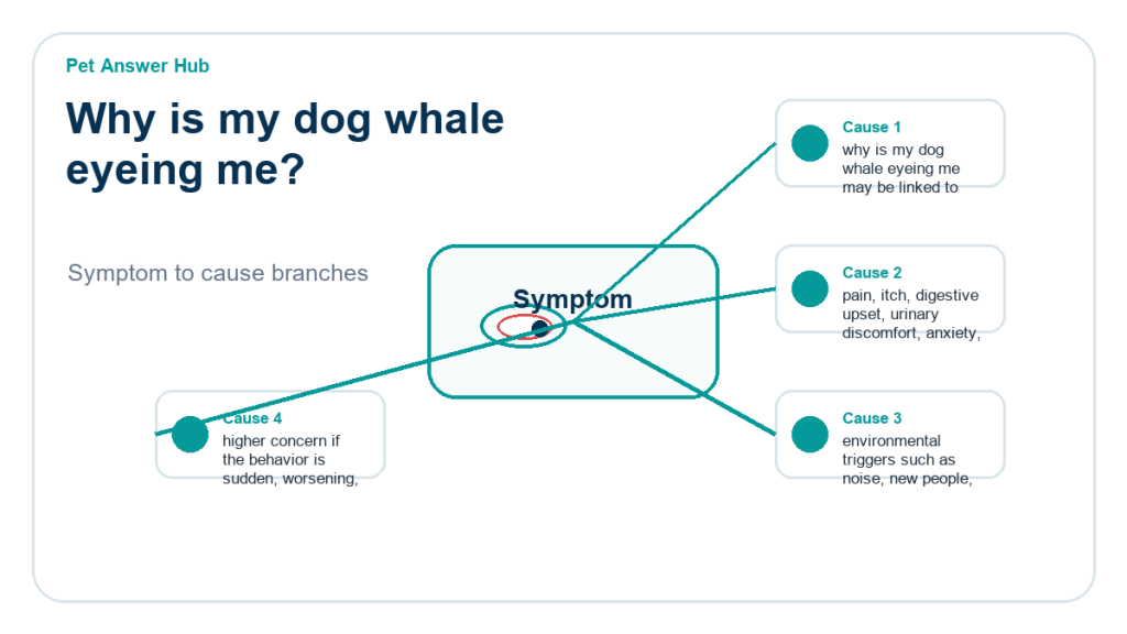 why is my dog whale eyeing me behavior cause diagram