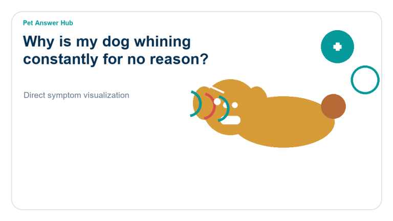 why is my dog whining constantly for no reason dog behavior visual